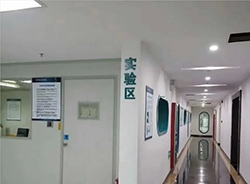 通辽医院做亲子鉴定准不准，医院办理DNA鉴定样本有什么