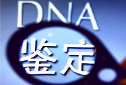 大兴安岭妇幼保建院能办理DNA鉴定吗，大兴安岭医院做DNA鉴定具体流程