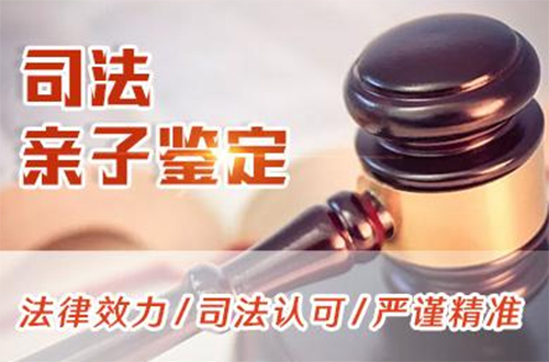 邵阳司法亲子鉴定需要什么材料和流程,