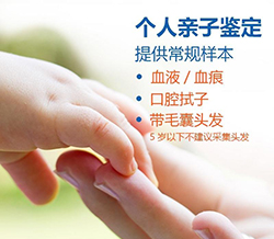 漳州亲子鉴定多久能出报告，漳州隐私亲子鉴定需要什么流程