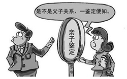 湘西匿名DNA亲子鉴定多少钱，湘西个人亲子鉴定办理方式