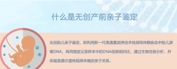 湖北省怀孕了怎么做DNA鉴定,湖北省胎儿做亲子鉴定办理方法