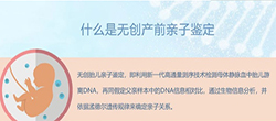 内蒙古怀孕亲子鉴定收费明细，内蒙古产前亲子鉴定如何办理