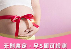 广东省如何做怀孕亲子鉴定