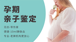 在乐山怀孕了怎么做孕期亲子鉴定，乐山做孕期亲子鉴定准确吗