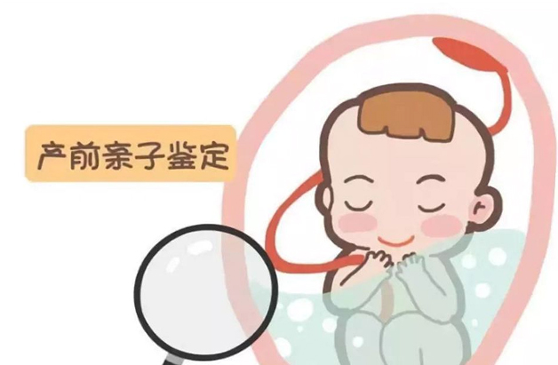 贵州胎儿如何做血缘检测,贵州无创孕期亲子鉴定办理费用