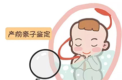 海南怀孕如何办理亲子鉴定，海南孕期亲子鉴定办理流程