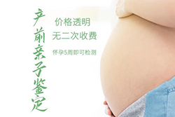 在[自贡]怀孕几个月如何做DNA鉴定，自贡产前亲子鉴定要多少钱