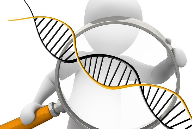 烟台匿名DNA亲子鉴定如何做,烟台隐私亲子鉴定需要的材料